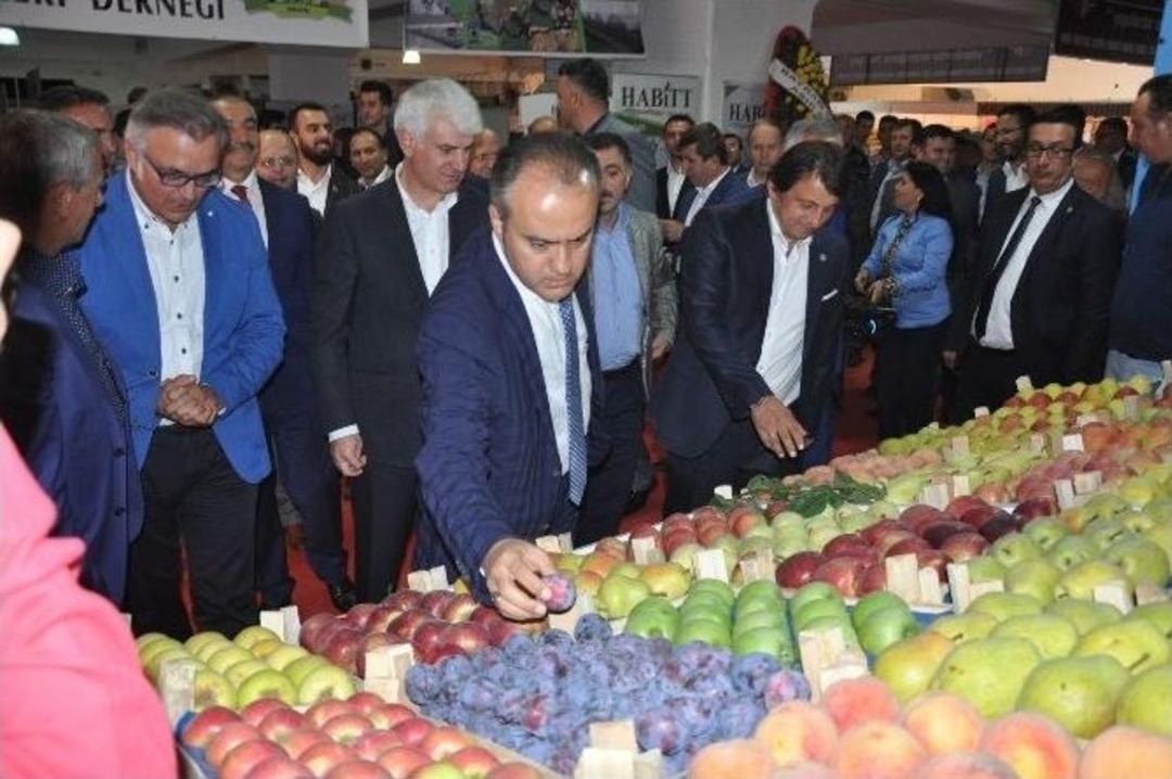 İneg&ouml;l&rsquo;de Tarım Fuarı