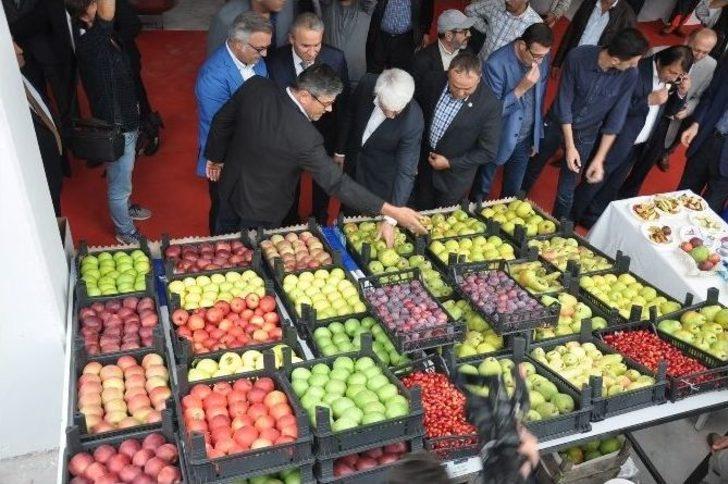 İnegöl’de Tarım Fuarı G4