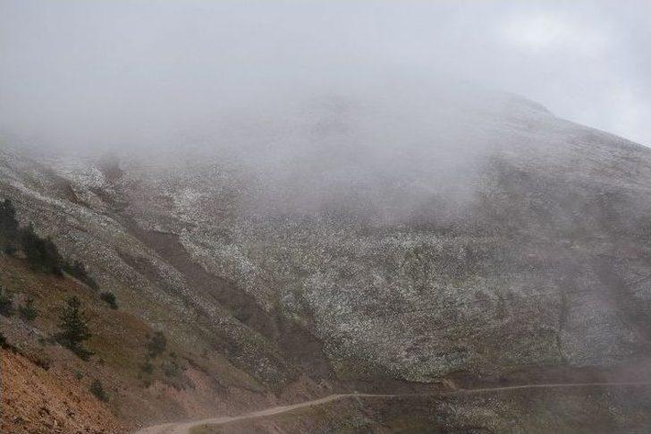 Kar Erken Yağdı, Yaylalarda Göç Telaşı Başladı. G1