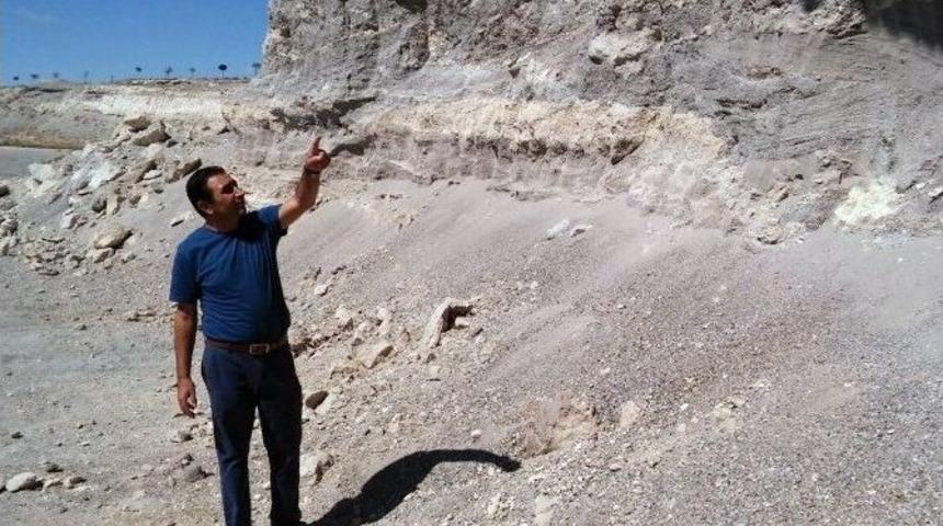 Mamut Fosillerinin &Ccedil;ıktığı B&ouml;lgenin Sit Alanı Olması Talebi