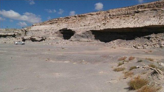 Mamut Fosillerinin Çıktığı Bölgenin Sit Alanı Olması Talebi