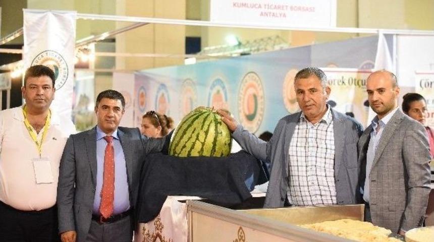 Diyarbakır Karpuzu, &Ouml;rg&uuml; Peyniri, Kadayıfıyla Y&ouml;rex&rsquo;te