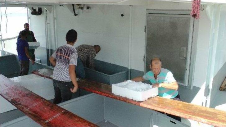 Karadeniz Kasabasında Balık Bolluğu G2