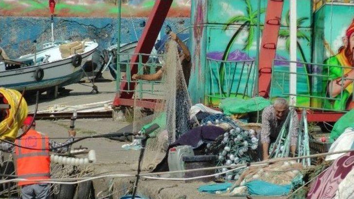 Karadeniz Kasabasında Balık Bolluğu G3