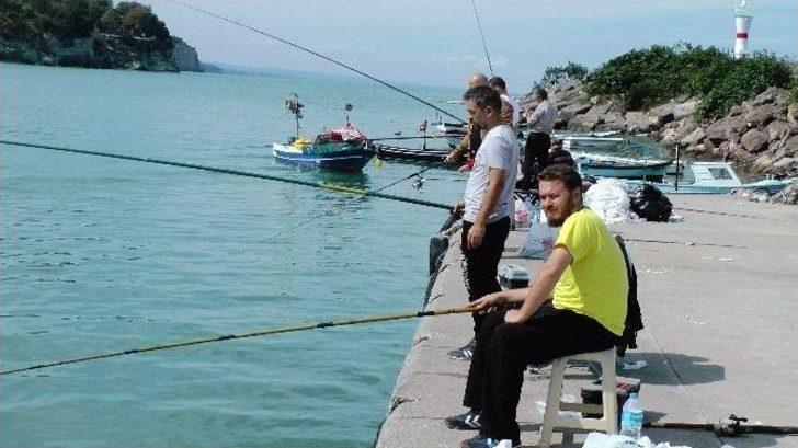 Karadeniz Kasabasında Balık Bolluğu G5