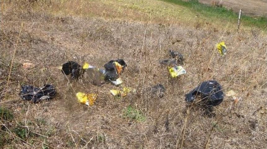 Alkol Bağımlıları Tarla Alanlarını Mesken Tuttu