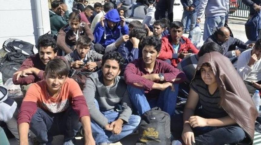 Tansu Çiller’in Eski Yatında 134 Kaçak Göçmen Yakalandı