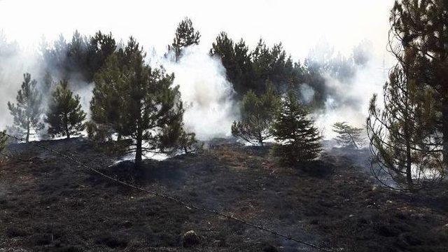Yozgat’ta Orman Yangınını Vali Yurtnaç Bildirdi