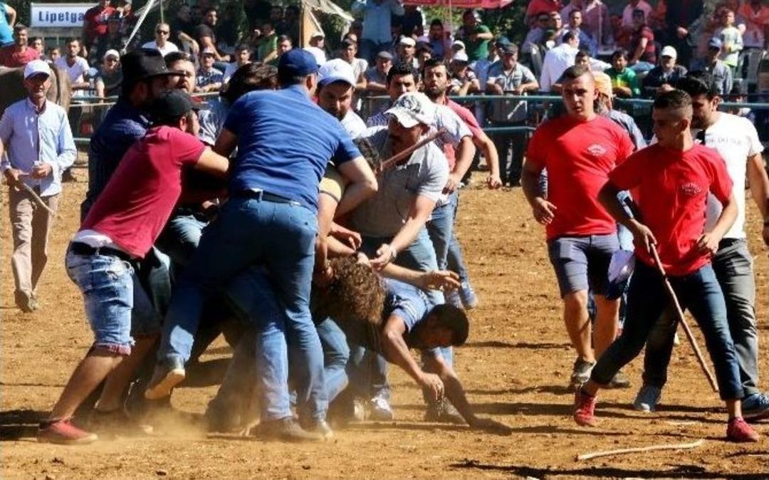 Boğalar Ayrı, Sahipleri Ayrı G&uuml;reşti