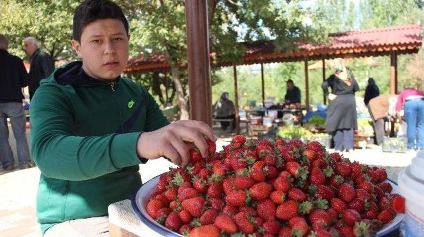 Bu Da Sonbahar &Ccedil;ileği