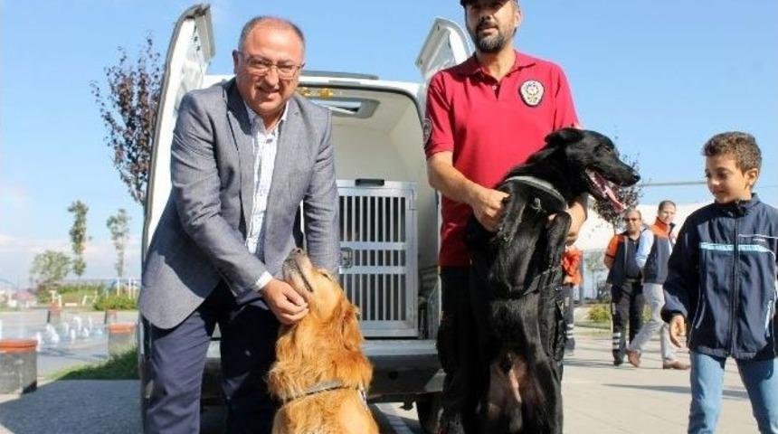 Fosfor Ve İvan Zehir Tacirlerinin K&acirc;busu Oldu