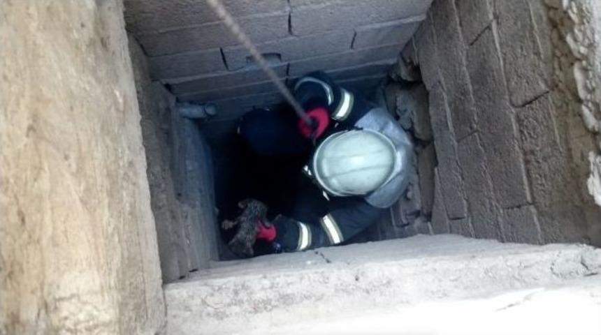 35 Metrelik Kuyudan Yavru Kediyi Kurtardılar