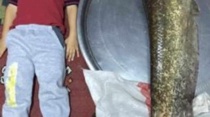 Denizli&rsquo;de 130 Santim Uzunluğunda Yayın Balığı Yakalandı