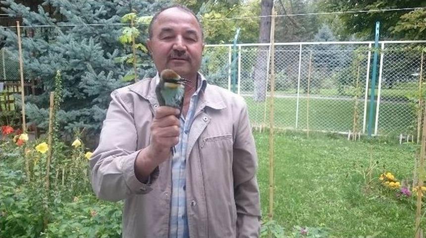 Yaralı Arı Kuşuna Erciyes &Uuml;niversitesi Sahip &Ccedil;ıktı