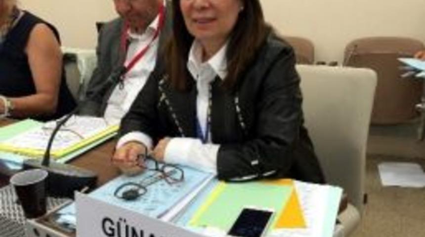 Milletvekili G&uuml;nay, Paris&rsquo;de Suriyeli M&uuml;ltecilere Yapılan Yardımları Anlattı