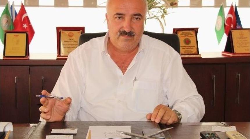 Fındıkta &lsquo;m&uuml;steşarlık&rsquo; Beklentisi