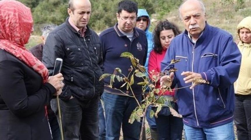 5 Bin K&ouml;ye 5 Bin Orman Projesi Başladı