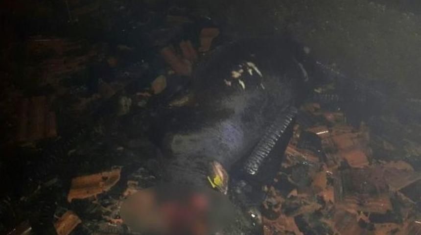 Malatya&rsquo;da Korkutan Yangın: 2 İnek Telef Oldu