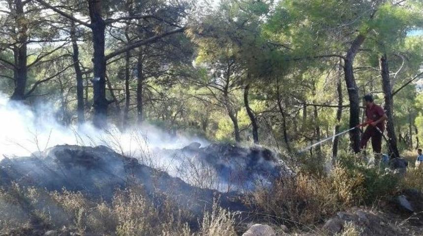 Maytap İle Oynayan &Ccedil;ocuklar Orman Yangını &Ccedil;ıkardı