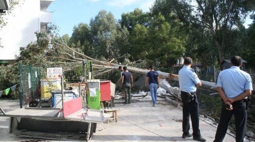 İş Makinesinin K&ouml;klediği Ağa&ccedil; Benzin İstasyonuna Devrildi