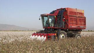 Pamuğun Geleceği İçin Söke’den 6 Maddelik Deklarasyon