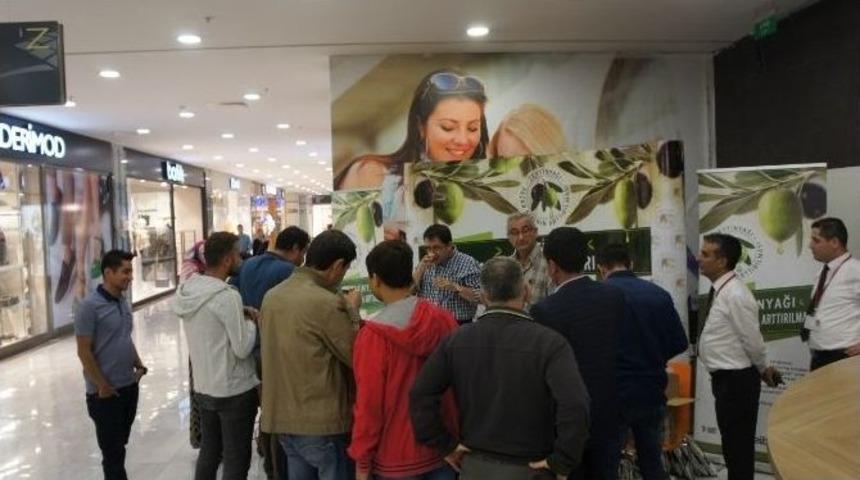 Aydın Zeytinyağı Elazığlılardan Yoğun İlgi G&ouml;rd&uuml;