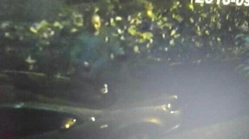 Ara&ccedil; Kundaklayan Ter&ouml;rist Yakalandı