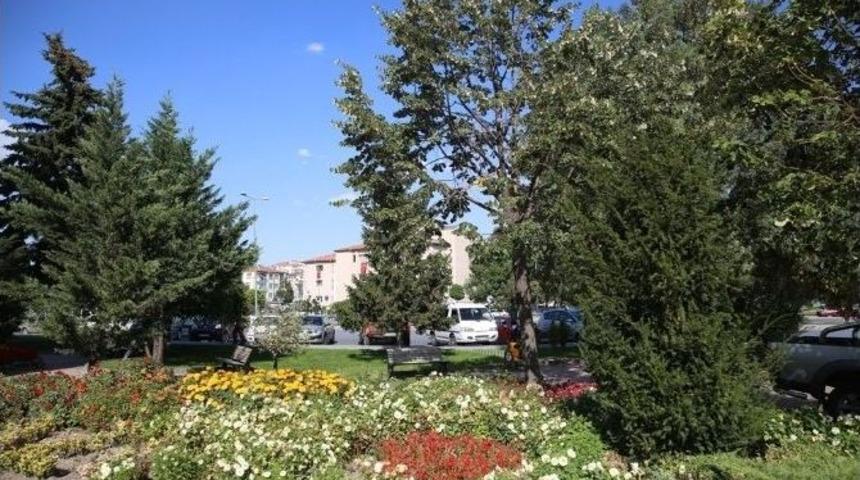 Melikgazi Yine &Ccedil;i&ccedil;ek A&ccedil;acak