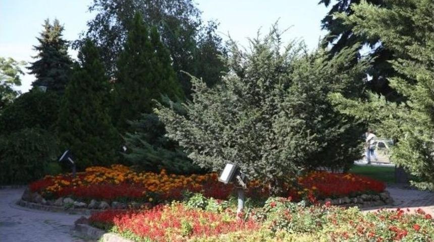 Melikgazi Yine &Ccedil;i&ccedil;ek A&ccedil;acak