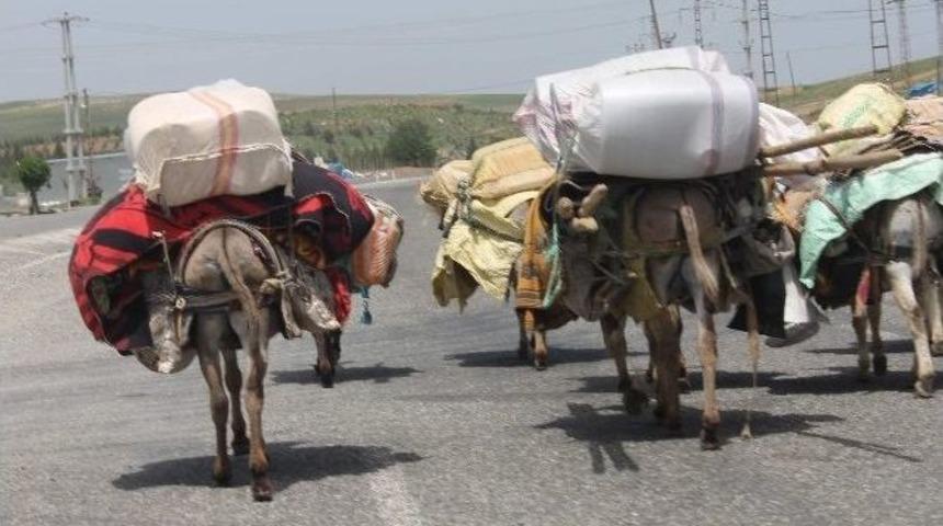 Göçebelerin Zorlu Geri Dönüşleri Başladı