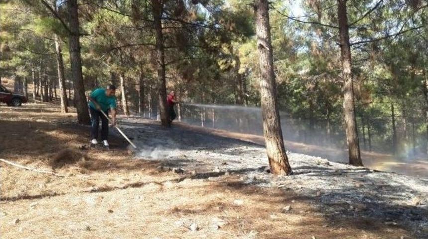 Ormanlık Alandaki Yangın B&uuml;y&uuml;meden S&ouml;nd&uuml;r&uuml;ld&uuml;