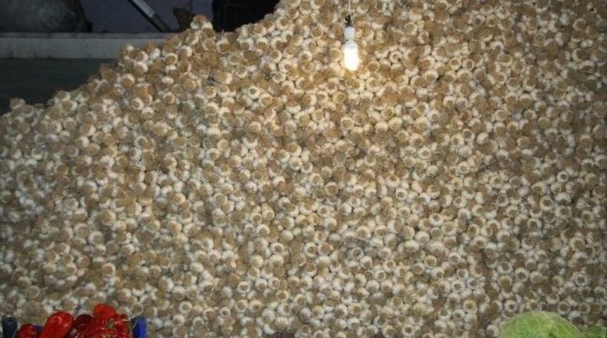 Turşuluklar Tezgahlardaki Yerini Aldı