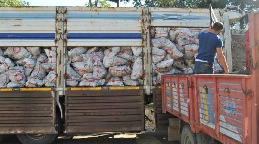 Hayrabolu&rsquo;da Muhta&ccedil; Ailelere K&ouml;m&uuml;r Yardımı