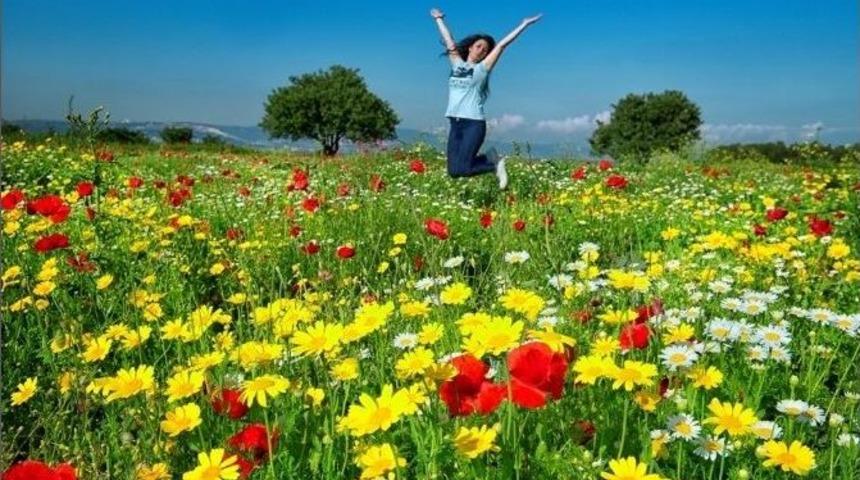 Sonbahar Fotoğrafları Yarışıyor