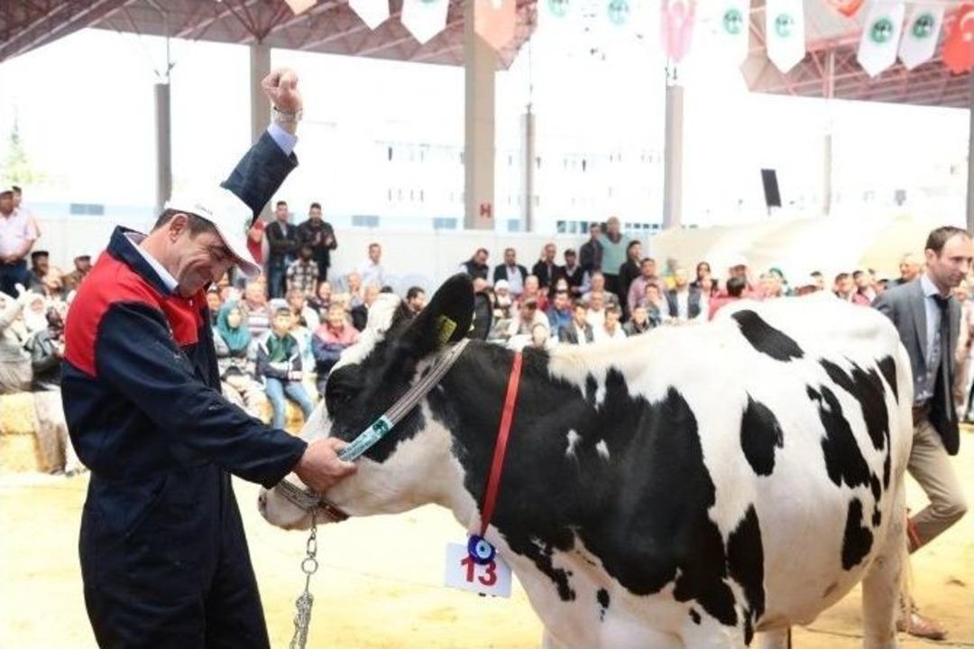 T&uuml;rkiye Hayvancılık Sekt&ouml;r&uuml; Kuşadası&rsquo;nda Buluşacak