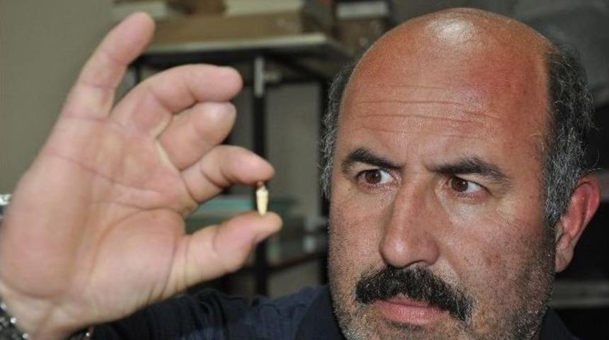 &rsquo;&ccedil;ekirdek Paketinden K&ouml;pek Dişi &Ccedil;ıktı&rsquo; İddiası