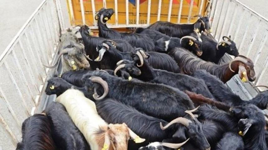 Gen&ccedil; &Ccedil;ift&ccedil;i Projeleri Tamamlandı