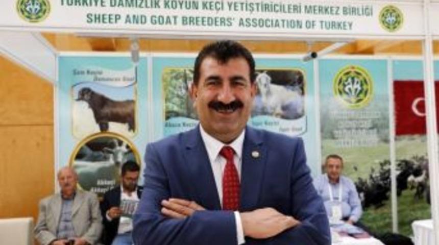 T&uuml;rkiye&rsquo;de Koyun Ve Ke&ccedil;i Sayısı 10 Yılda 14 Milyon Arttı