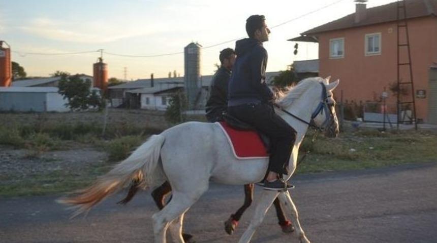 Bigadi&ccedil;&rsquo;te Rahvan Atlar Yarışlara Hazırlanıyor
