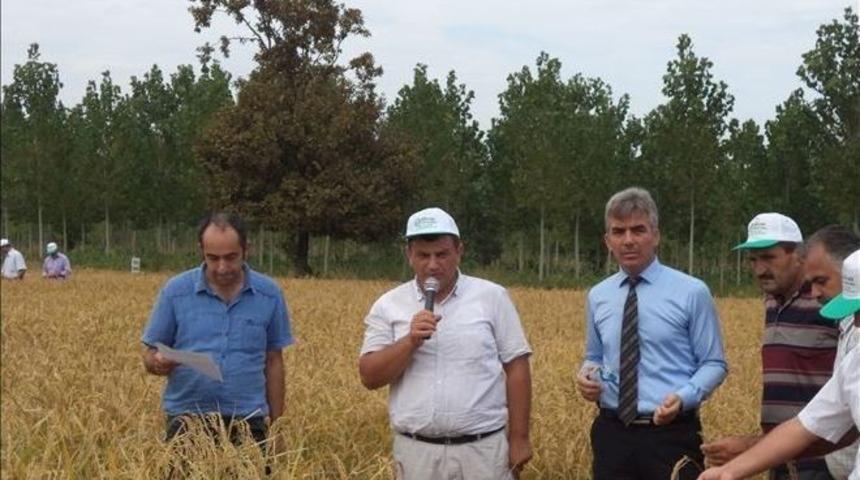 Terme&rsquo;de &lsquo;tarla G&uuml;n&uuml;&rsquo;