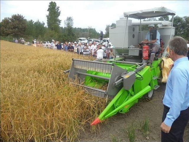 Terme’de ‘tarla Günü’