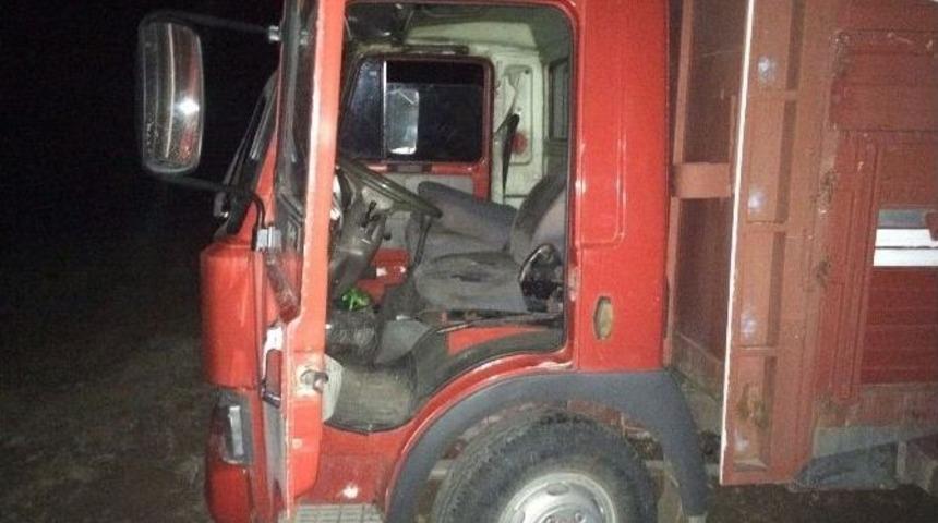 Uşak&rsquo;ta Hayvan Hırsızları K&ouml;yl&uuml;y&uuml; Ayağa Kaldırdı