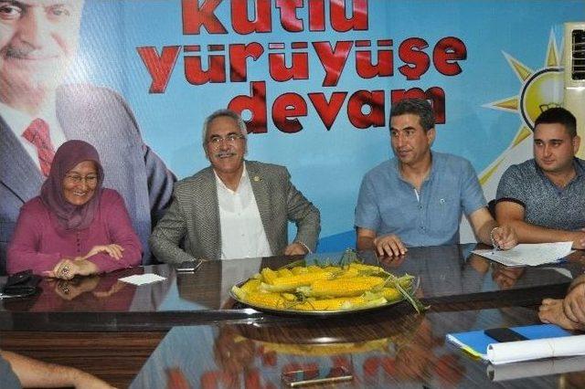 Milletvekili Aydın, Serik’te İncelemelerde Bulundu