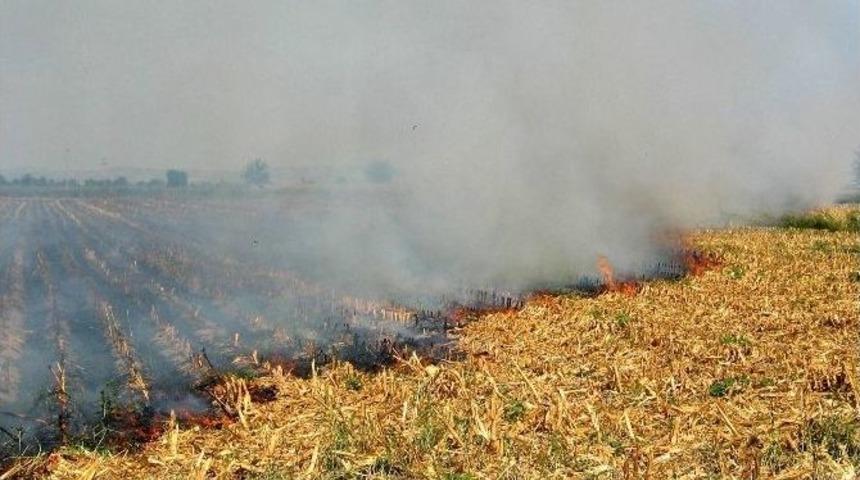 Anız Yakana Dekar Başına 40 Tl Ceza