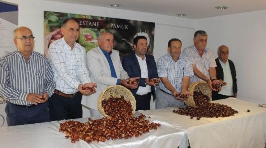 Aydın&rsquo;da Sezonun İlk Kestanesi Borsa&rsquo;ya Teslim Edildi