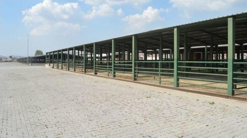 Tavşanlı Hayvan Pazarı Ge&ccedil;ici Olarak Kapatıldı