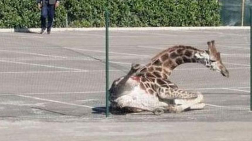 Dehşeti b&ouml;yle yaşadılar