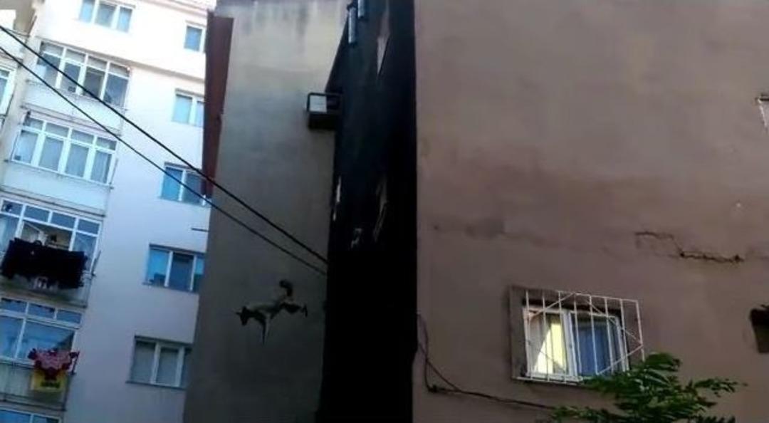 &Ccedil;atıda Mahsur Kalan K&ouml;pek Kurtarma Operasyonu Sırasında 5. Kattan B&ouml;yle Atladı...(&ouml;zel Haber)