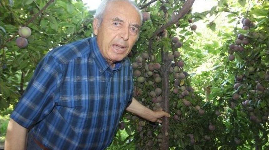 Bu Bah&ccedil;e, Y&ouml;re &Ccedil;ift&ccedil;isine &Ouml;rnek Oluyor