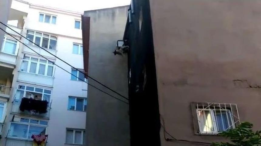 &Ccedil;atıdan Atlayan K&ouml;pekten Sevindirici Haber